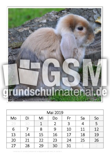 Mai_Kaninchen_1.pdf
